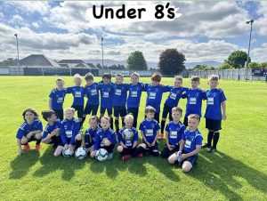 Strathspey Thistle FC – Highland League Football Club based at Seafield ...